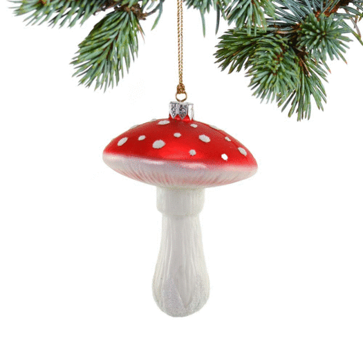 Personalized Cosmic Mushroom Christmas Ornament