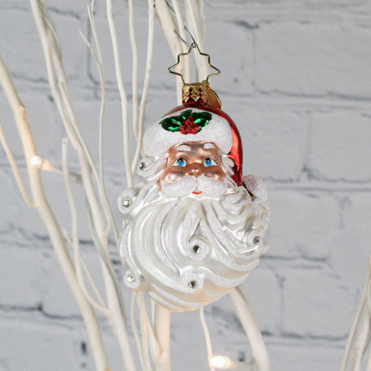 Christopher Radko Jolly With A Dash Of Holly Gem Christmas Ornament