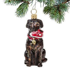 Glass Chocolate Lab with High Top Sneaker Christmas Ornament