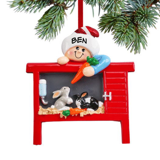 Personalized Loves Bunnies Christmas Ornament
